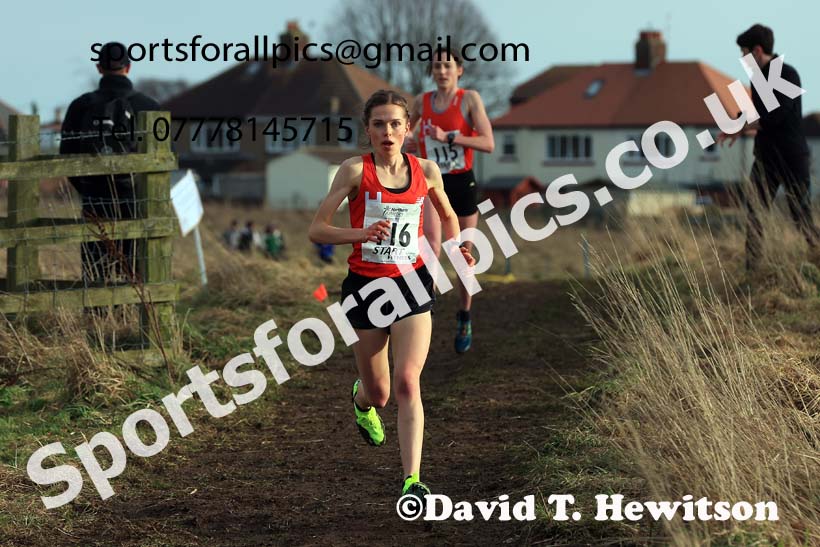 Senior Womens 2024 Northern Cross Country Champs., Sedgefield. Photo: David T. Hewitson/Sports for All Pics